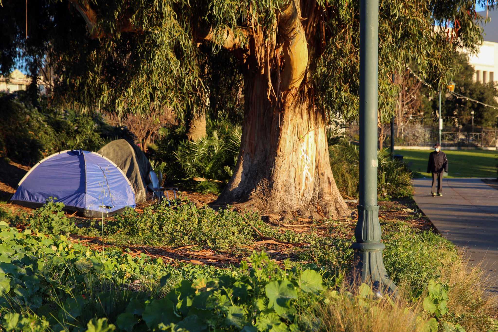 'A humanitarian crisis:' Bay Area counts unsheltered homeless people after long delay - Vimarsana News
