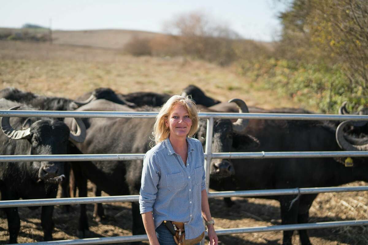 One-woman rancher Audrey Hitchcock is the force behind Ramini Mozzarella. Now, she's trying to save the favored company.