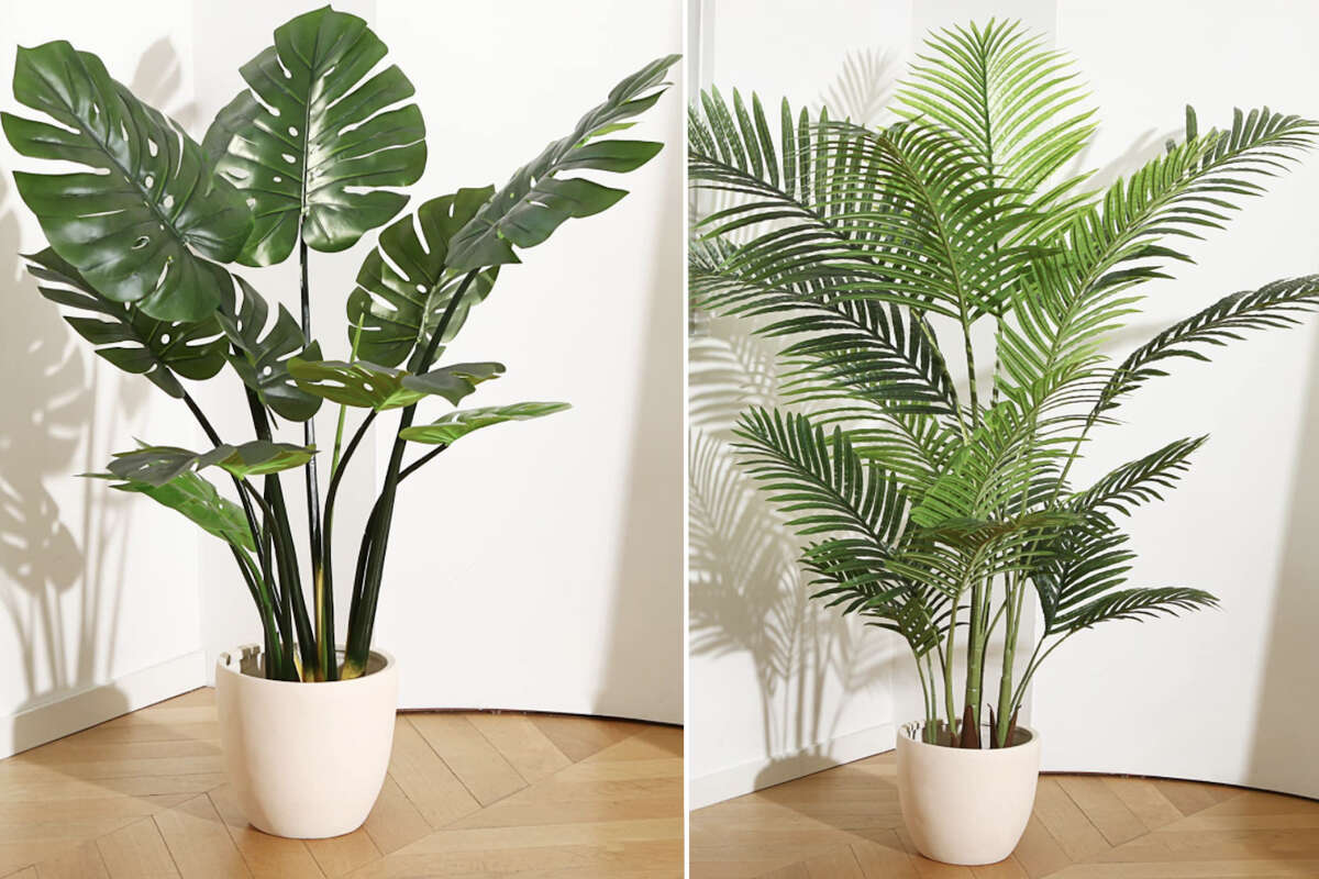 Best Fake Plants For Living Room