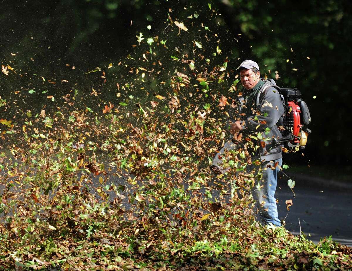 9 Best Gas Leaf Blowers in 2023 - Gas-Powered Leaf Blowers