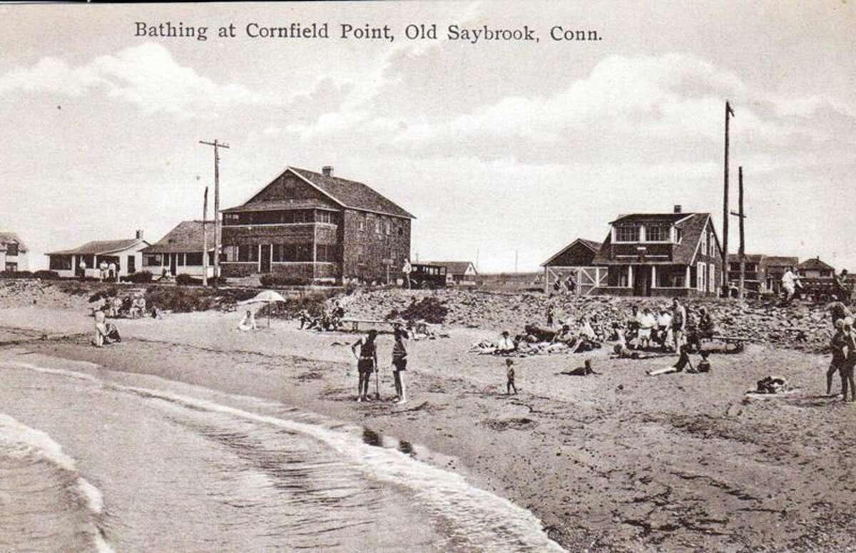 Looking Back Cornfield Point from corn to cottages