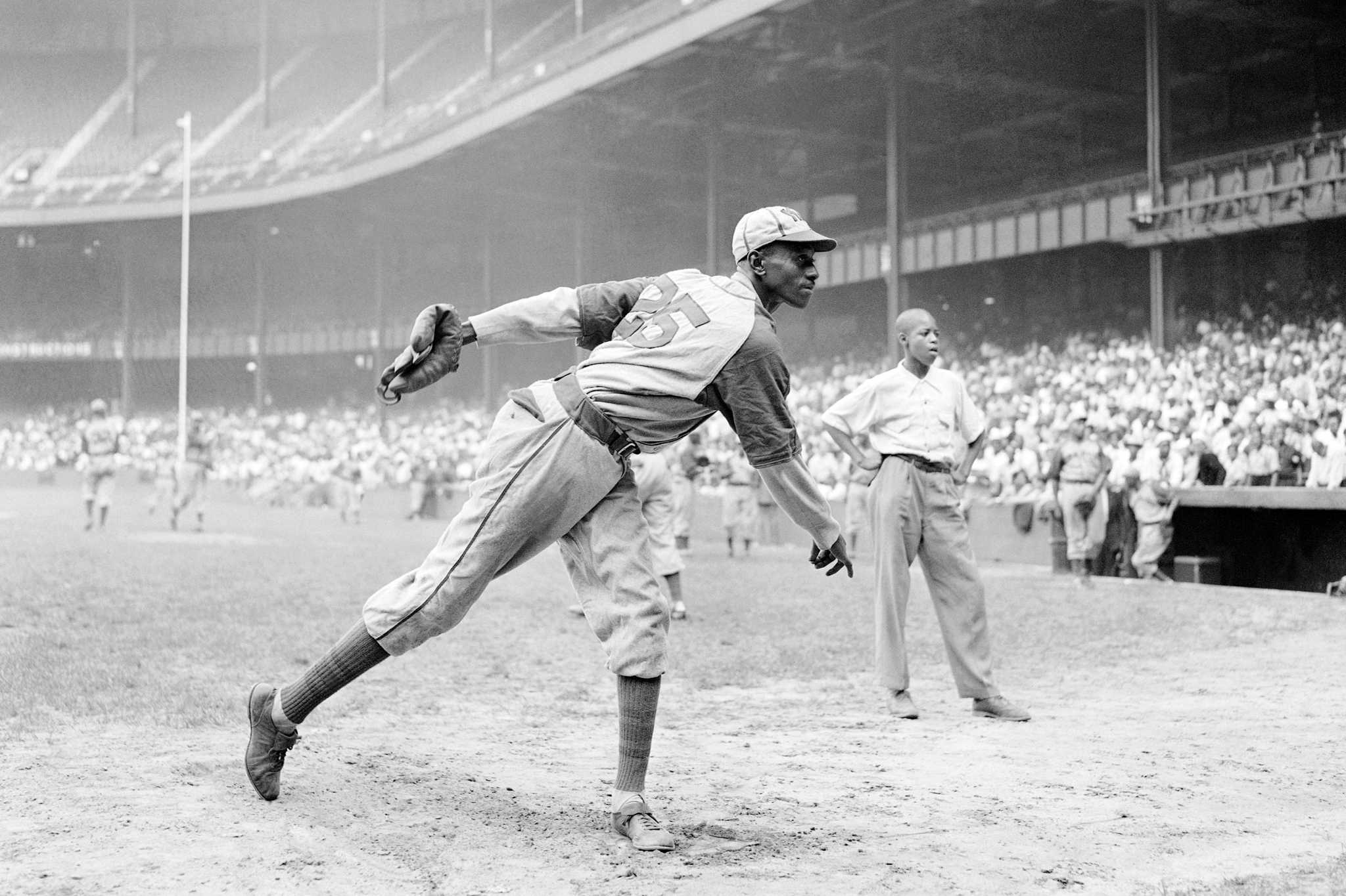 NEWARK DODGERS NEGRO LEAGUE BASEBALL BROWN