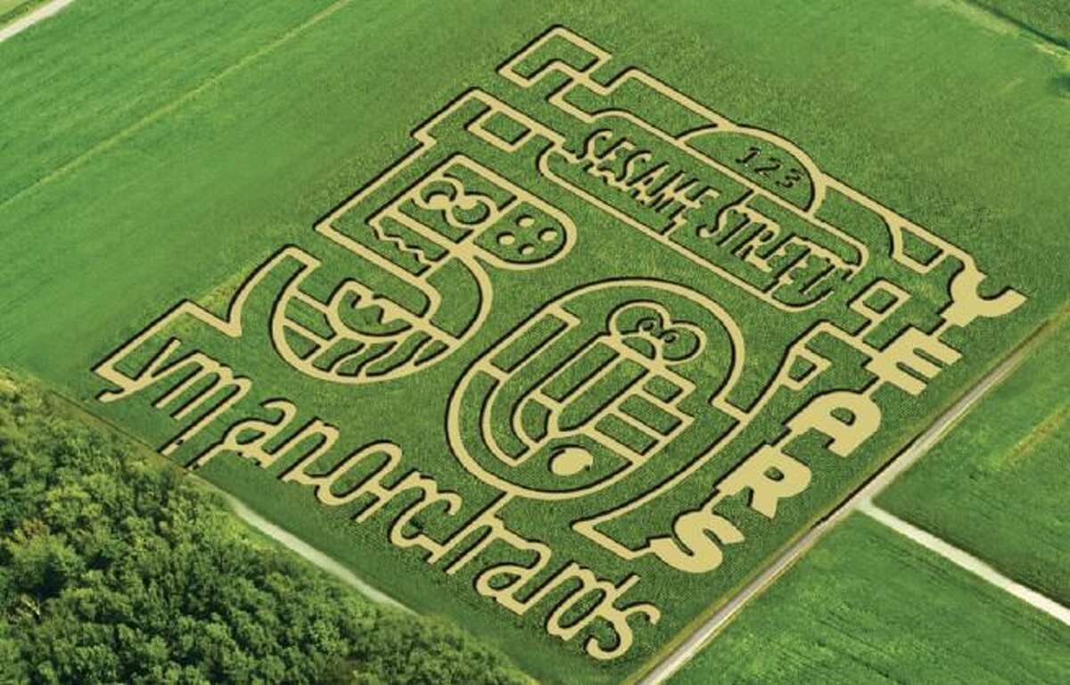 Lyman Orchards sunflower maze celebrates iconic kids’ TV show