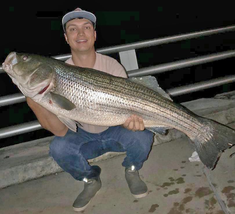Madison man tells no fish tales with 46-inch long striped bass