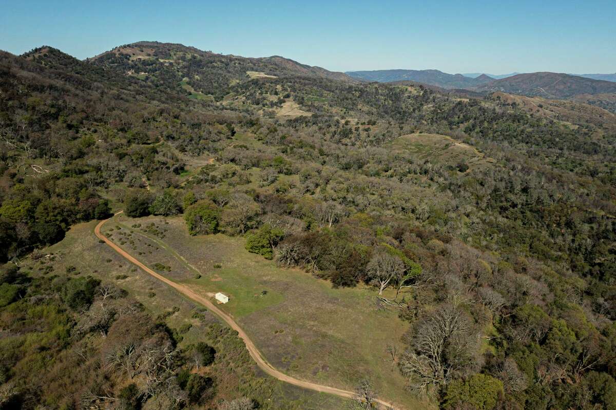 The decision over whether to clear forest for grapes on the land west of Circle Oaks may be crucial to the future direction of the Napa Valley.