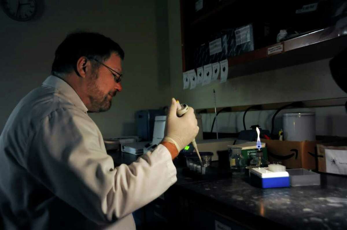 Doug Serafin, of the Greenwich Department of Health, tests ticks for Lyme disease and Bobesia bacteria in his laboratory on Monday, Sept. 27, 2010.