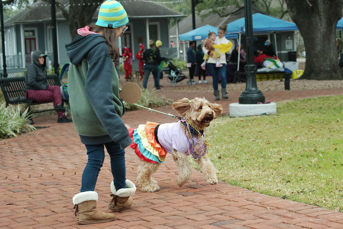 Winnie shows off her Mardi Gras best with owner Thom Harrleson during the League City Beads and Bark in the Park Pet Pawrade Saturday.