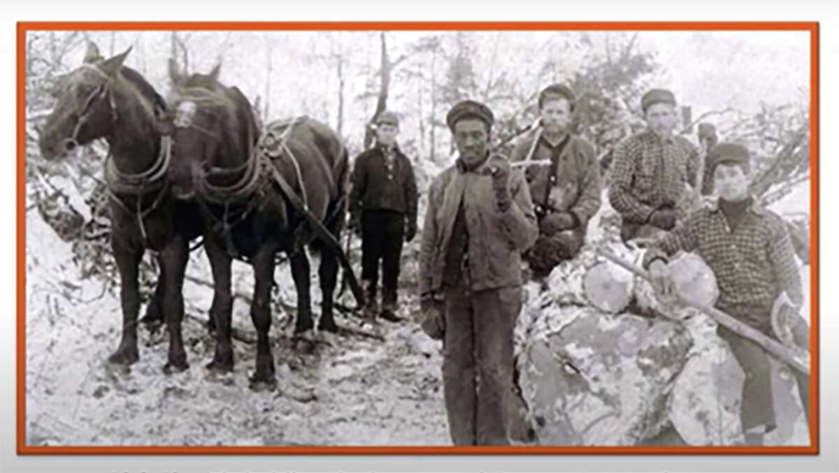 Joe Lett's Bundy Hill Lumber Camp, circa 1900. Pictured is Dick Sleet, holding the horses, and George Norman, standing to his left.