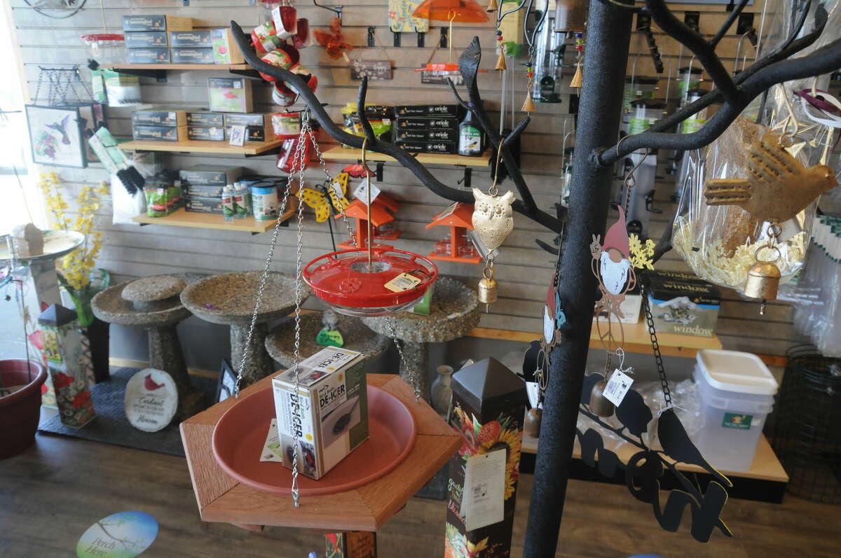 For the birds Selecting right feed draws feathered friends