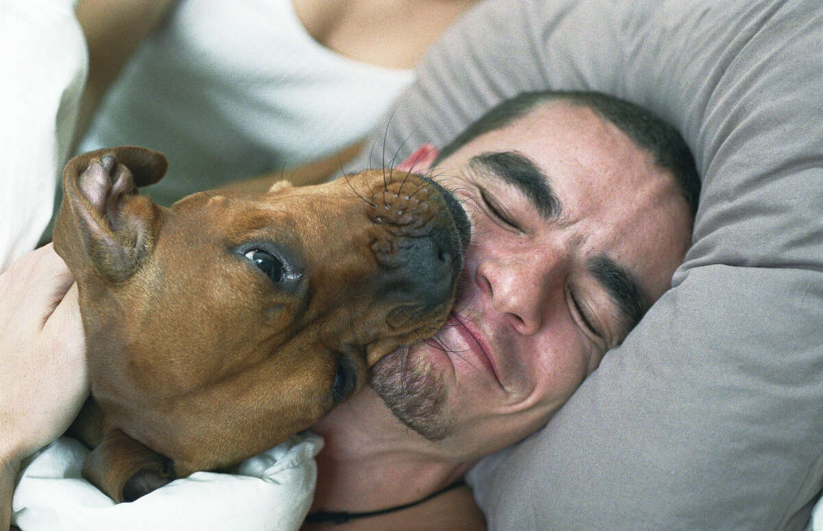 Six in 10 people would rather sleep with their pet than their partner because their pets are quieter and cleaner, a new survey shows. 