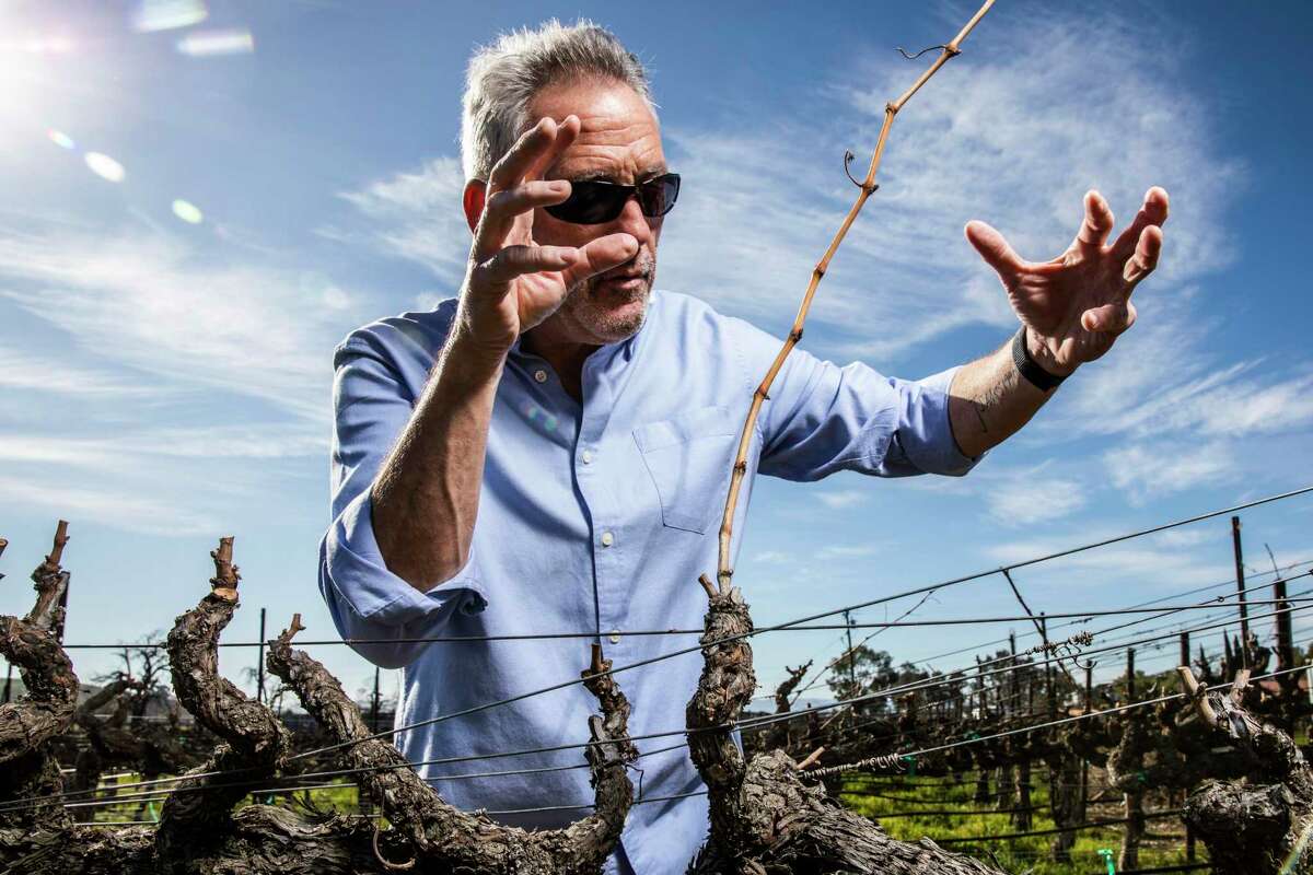 酿酒师史蒂文·米拉苏(Steven Mirassou)认为，利弗莫尔谷可以酿造出与纳帕或世界上任何地方一样好的葡萄酒。