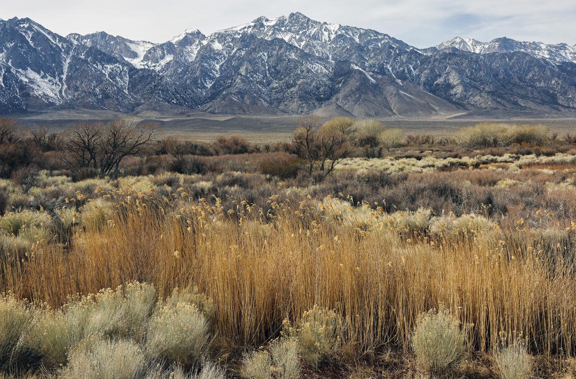 California snow levels plummet in February, ensuring third year of drought - Vimarsana News