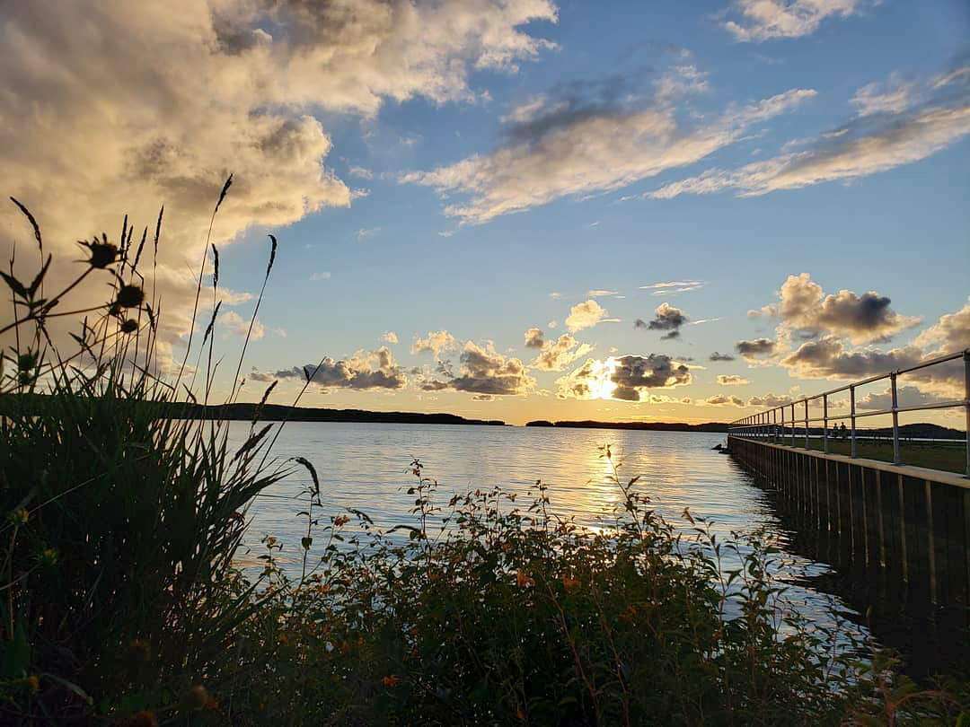 Volunteer training enrollment opens for lakes monitoring program - Vimarsana News