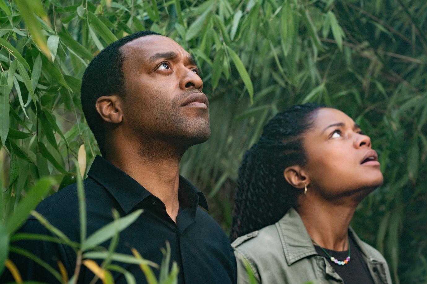 10 new TV shows to watch this spring, including 'The Dropout,' 'Shining Vale,' 'The Thing About Pam' and 'Anatomy of a Scandal' - Vimarsana News