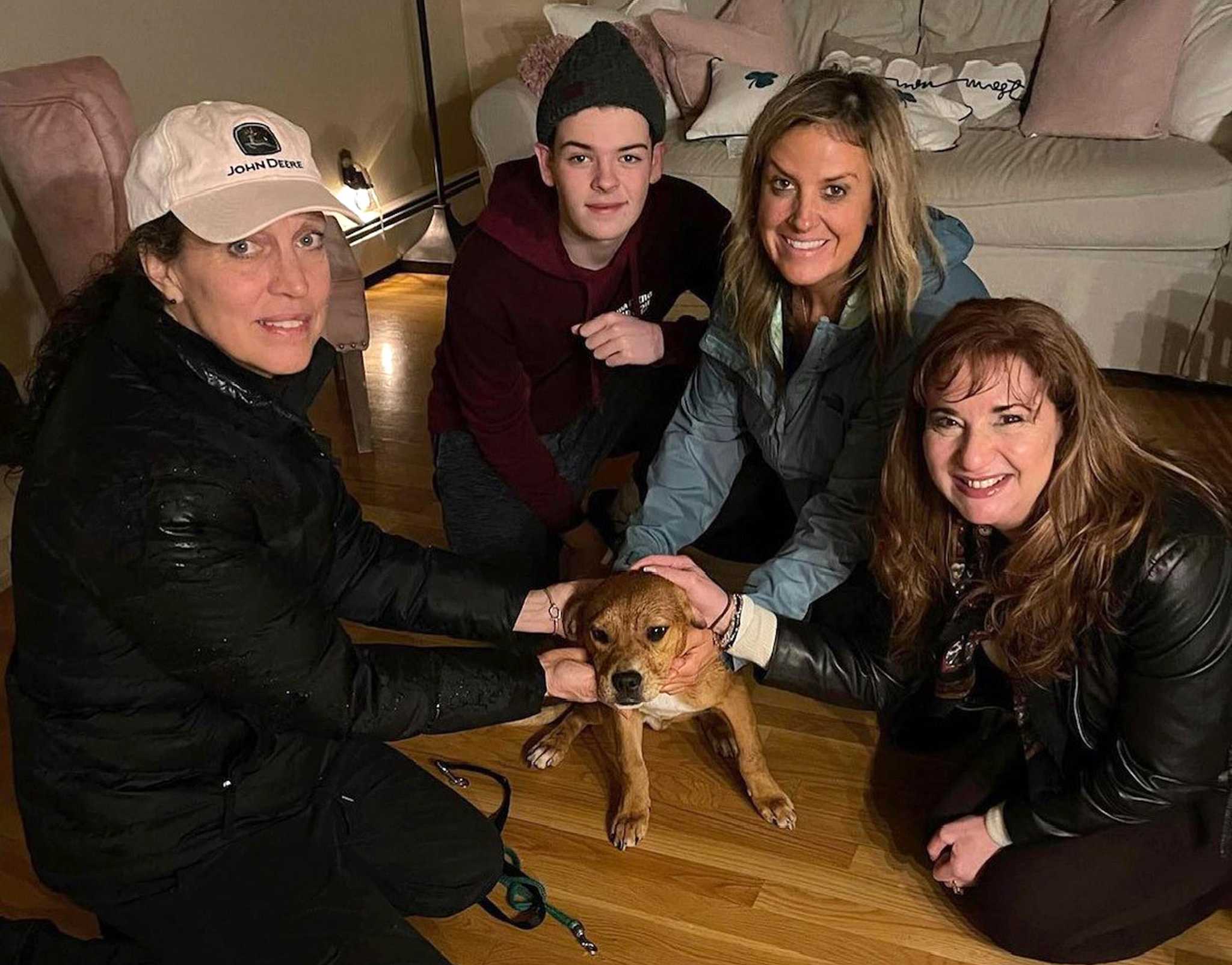 Madison: The near misadventures of Charlie the pup - Vimarsana News