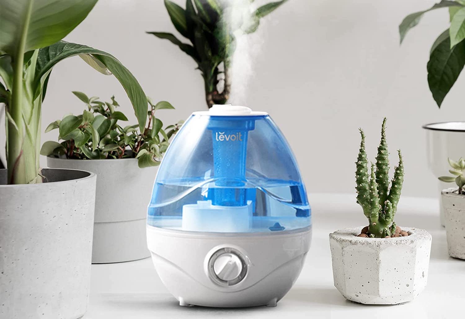Top Considerations for Selecting the Best Plant Humidifier for Your Indoor Plants