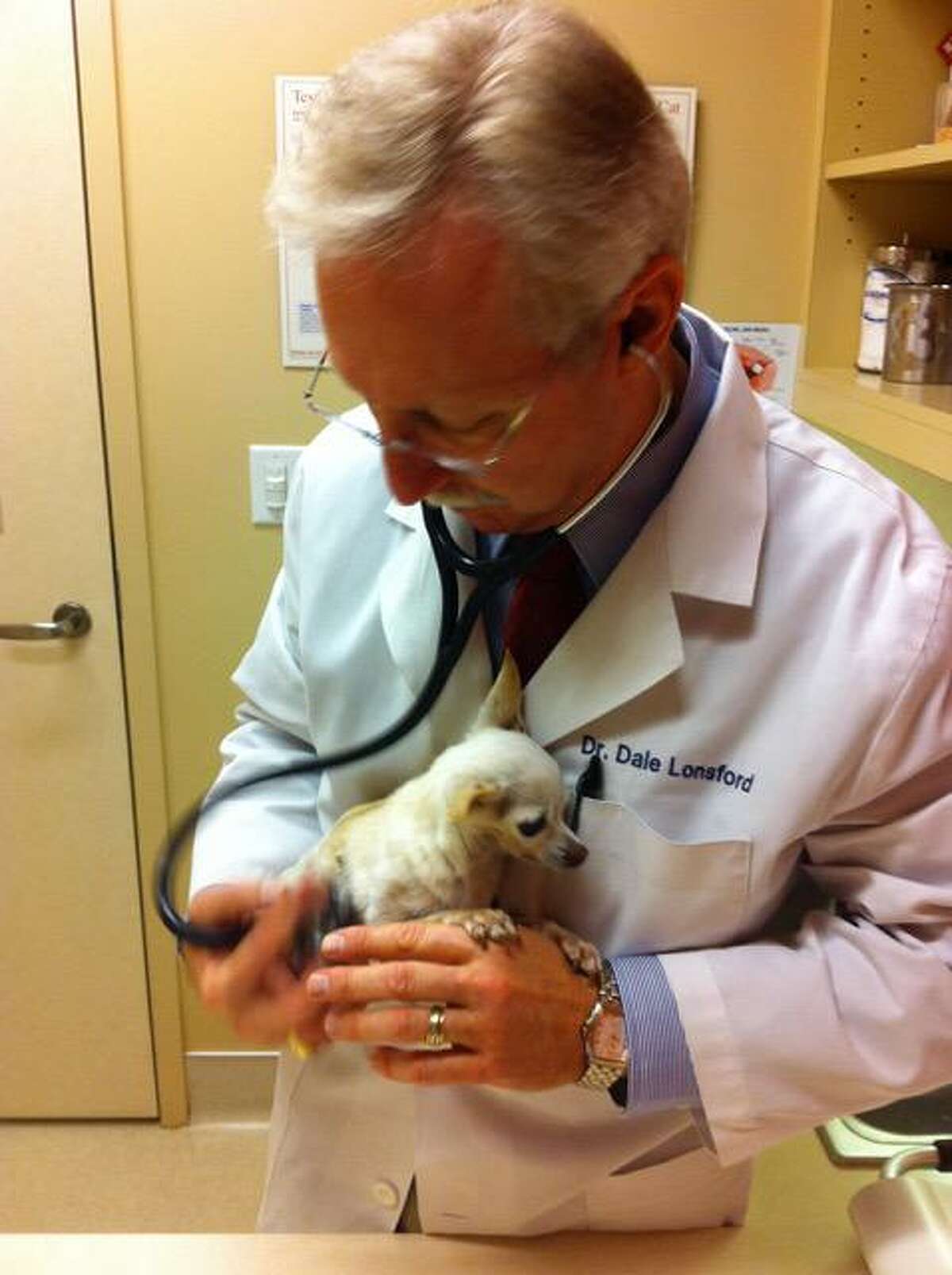 50-year-old animal hospital notes evolution in society’s view of pets