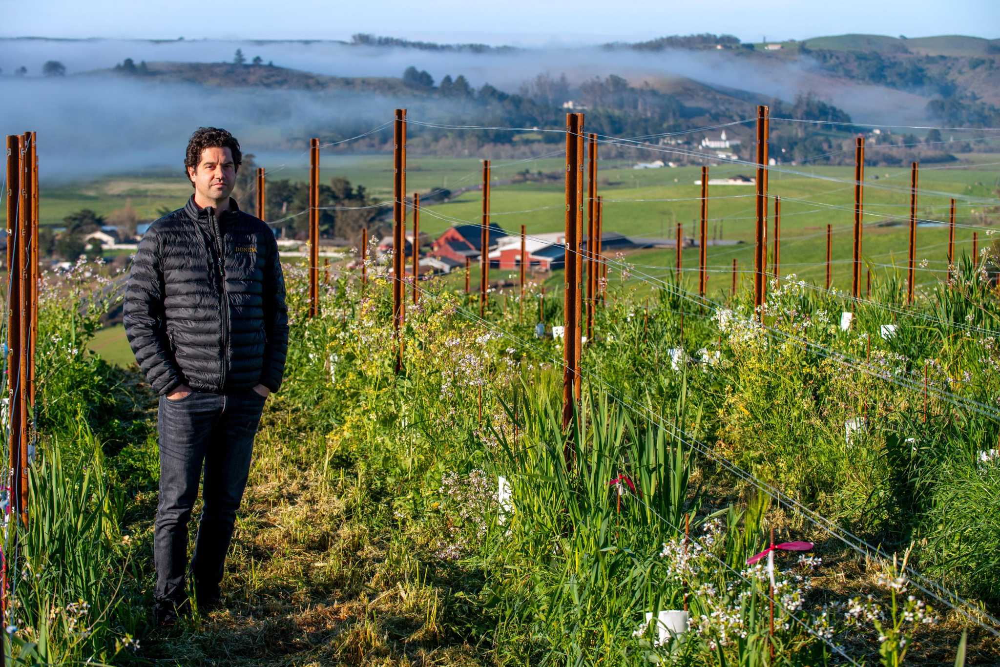 Sonoma Valley Field of Dreams - City of Sonoma