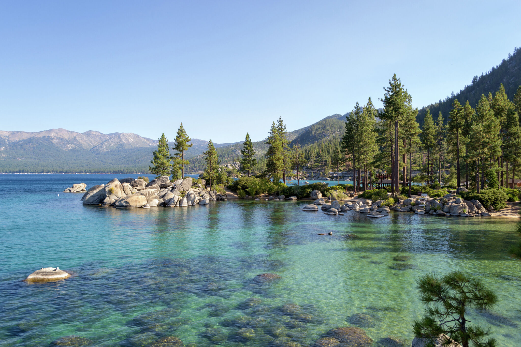 Invasive species could ruin Lake Tahoe and cost the region billions