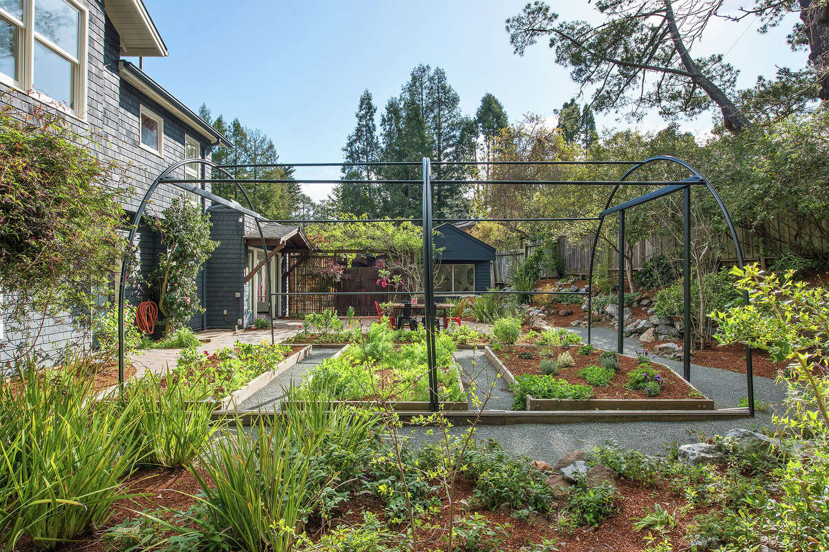 With veggies, fruit, herbs, and flowers, the lush property is over half an acre. 