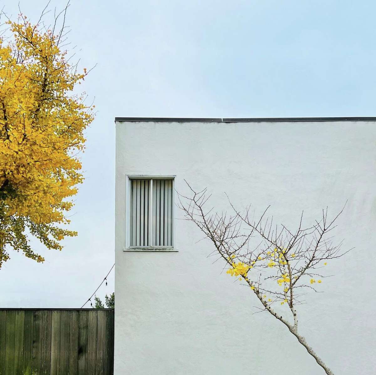 Julie Gebhardt captures the architectural beauty of San Francisco on Instagram @ juliegeb.