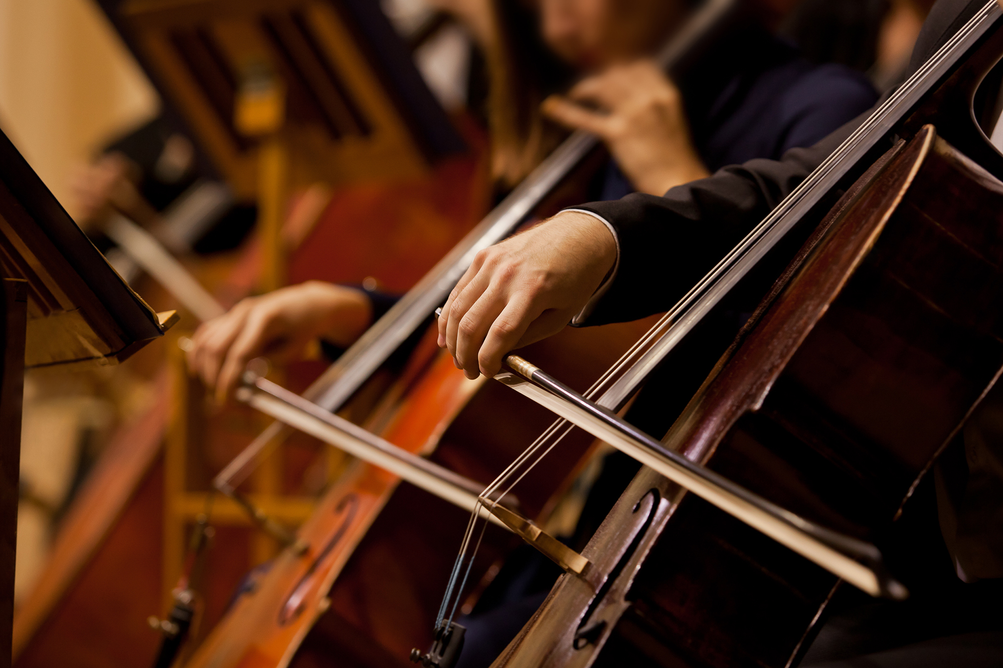 WIU festival celebrates new music - Vimarsana News