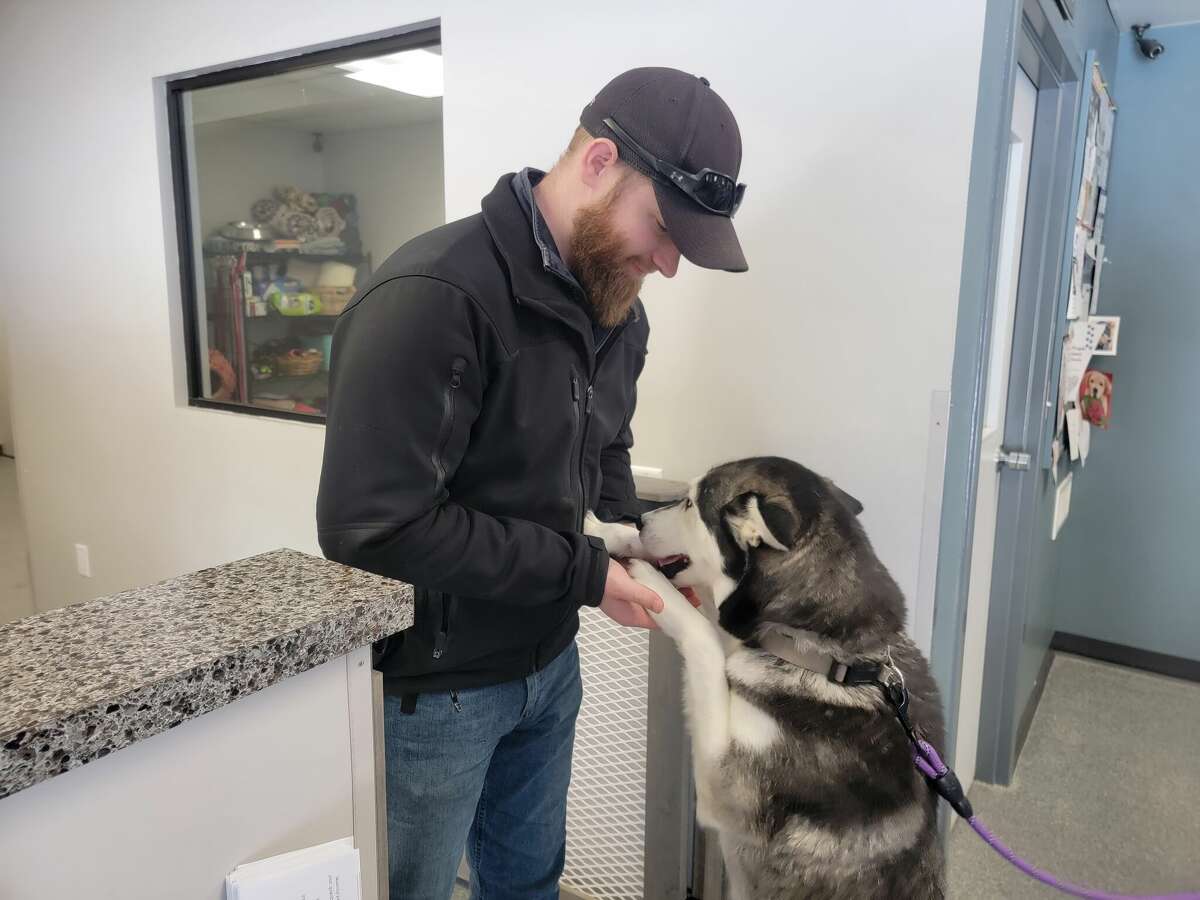 A dog up for adoption with Kyle Mauer, animal control officer for Benzie County, at the Benzie County Animal Shelter. The shelter operates on a millage, as does many other  services in Benzie County. 