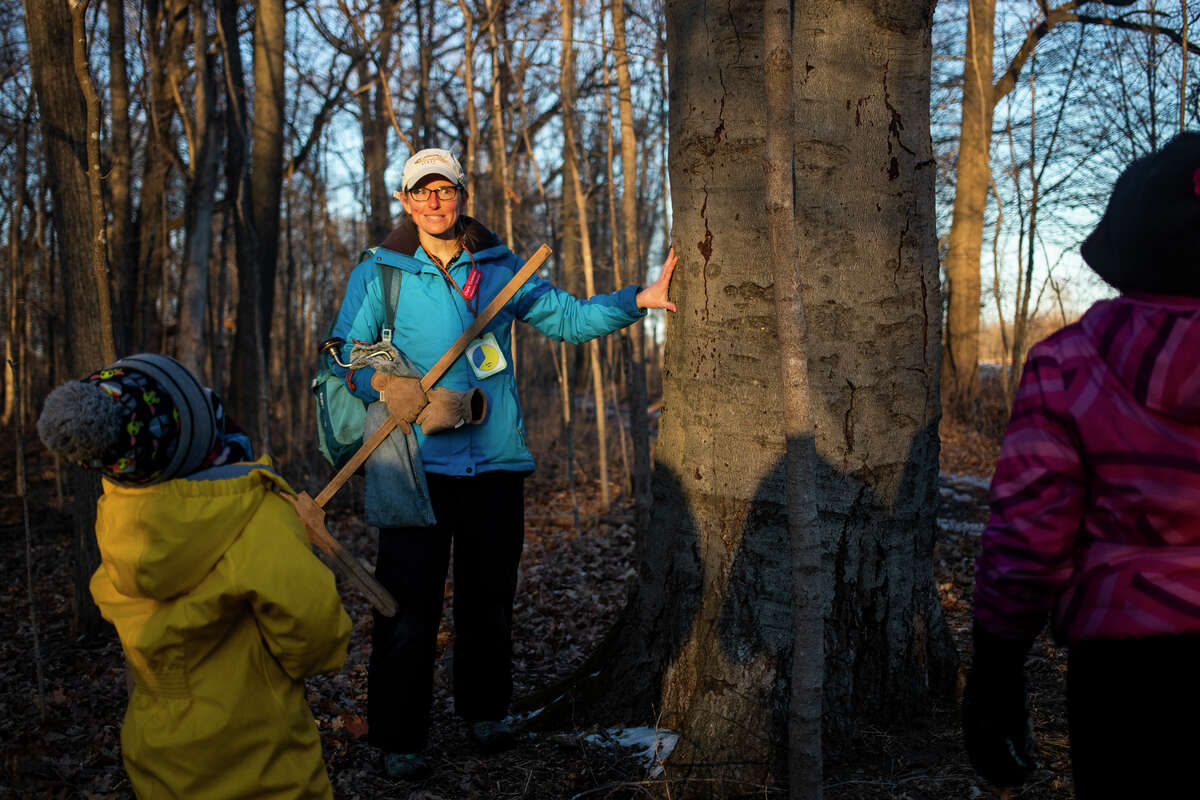 Cherie Grasman explains how to identify maple trees during the "Tap a Tree" event Thursday, March 3, 2022 at Chippewa Nature Center in Midland.