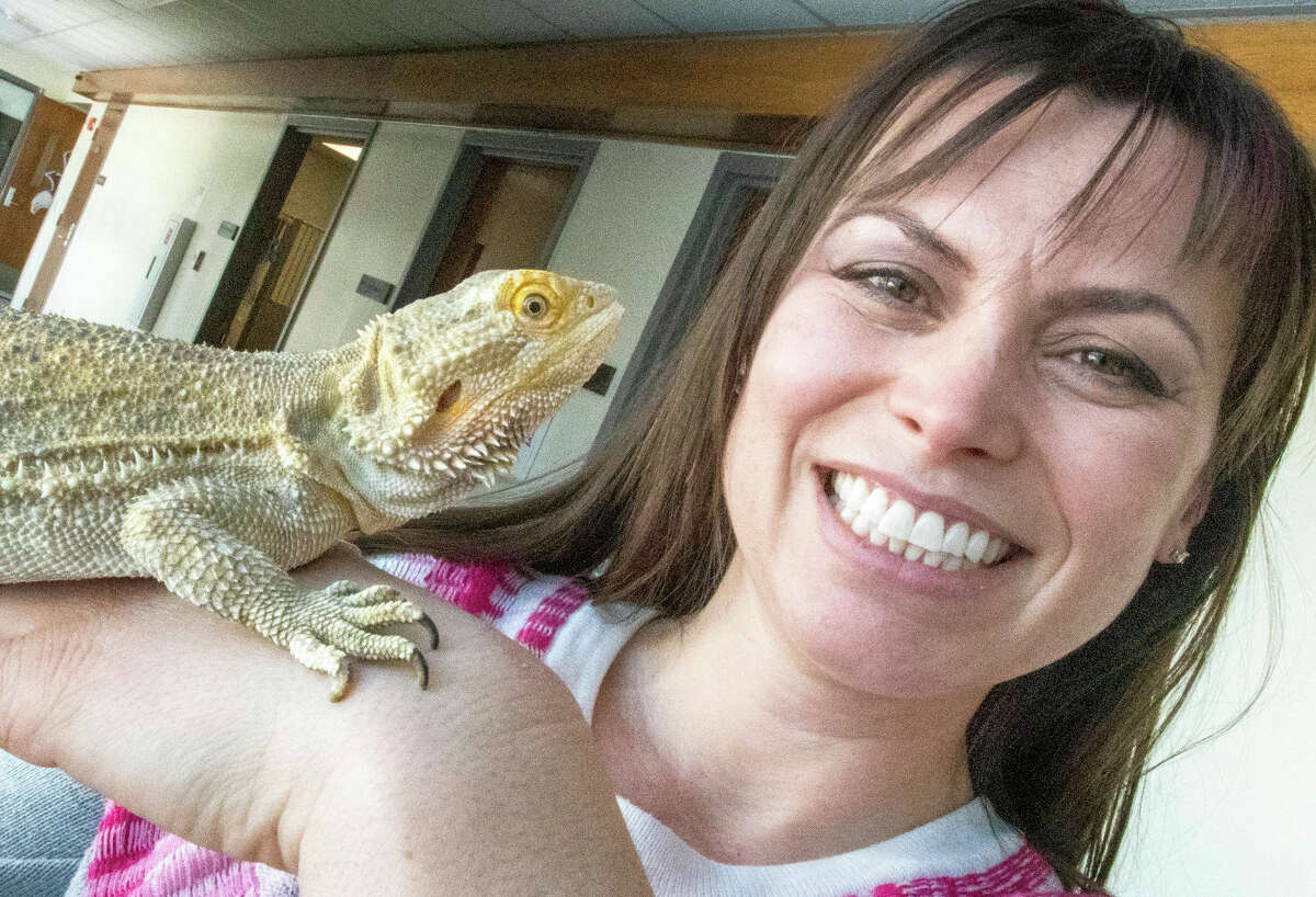 Dr. Krista Keller with her research bearded dragon “H” at the University of Illinois Veterinary Medicine South Clinic in Urbana.