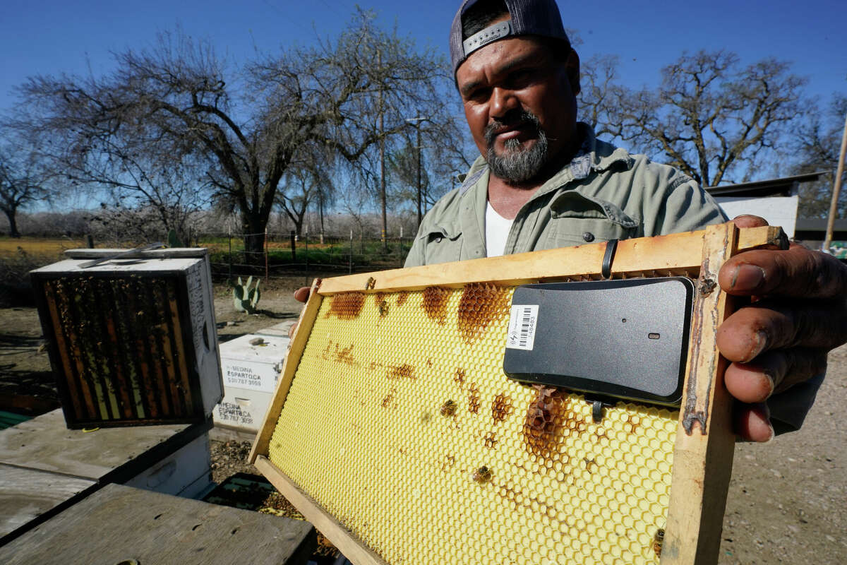 Beekeeper Hello Medina displays a beehive frame outfitted with a GPS locater that will be installed in one of the beehives he rents.