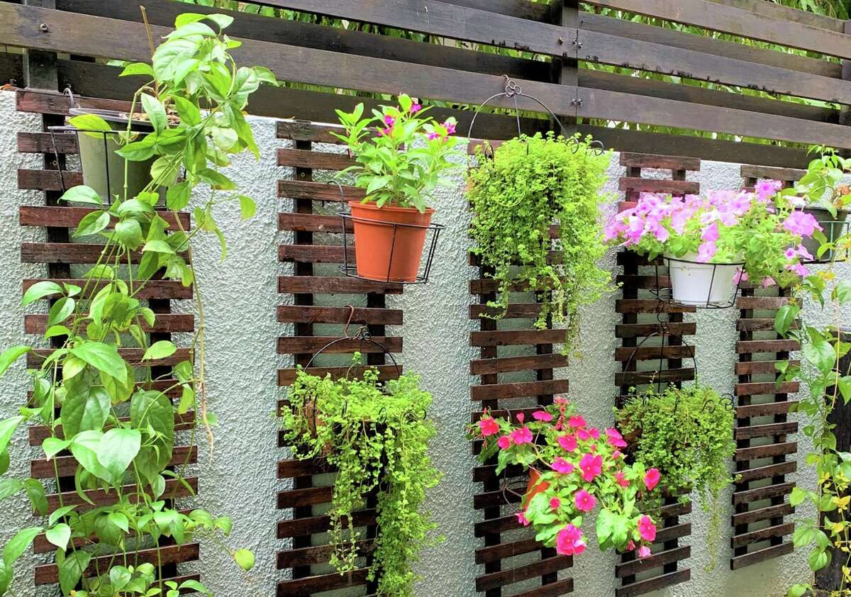 Plant wall ideas outdoor