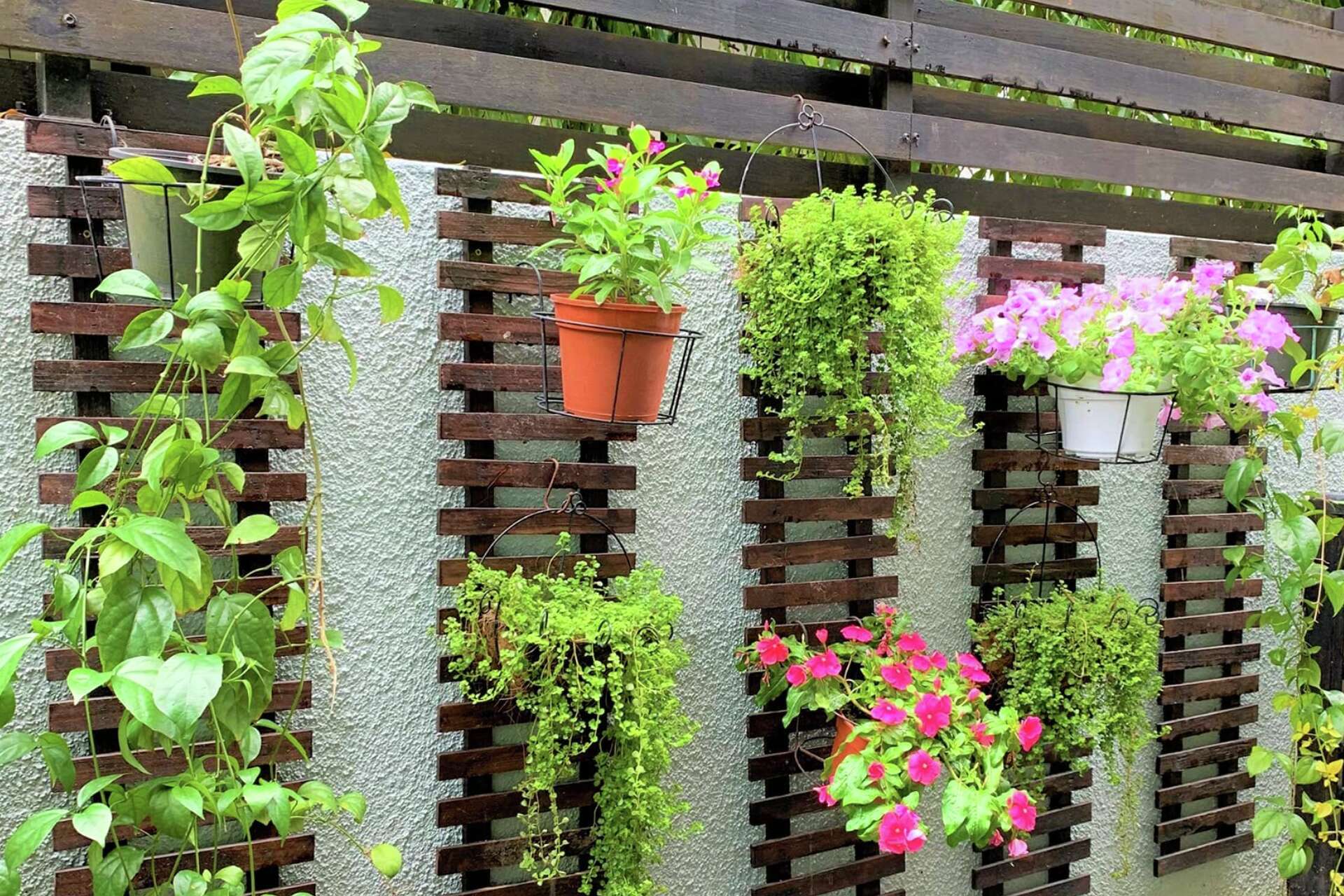 12 Best Vertical Garden Products