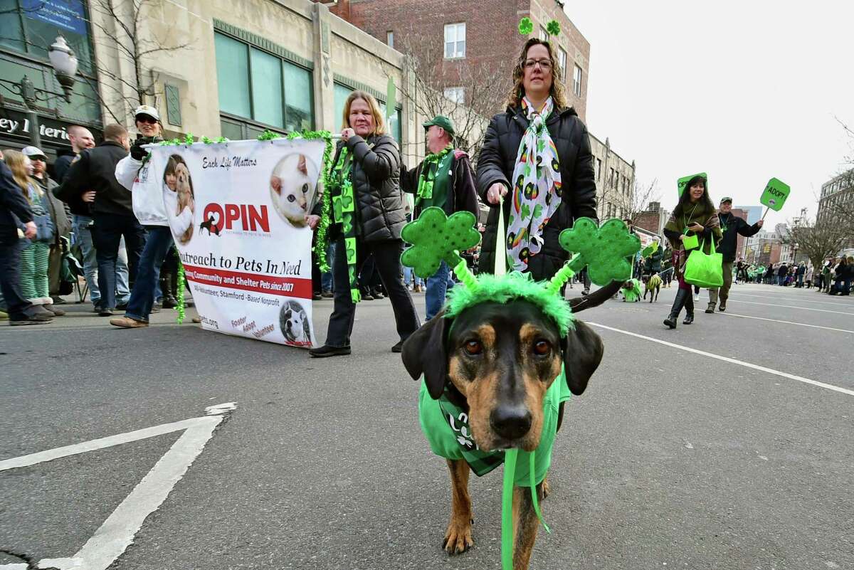 The 27th annual St. Patrick's Day Parade in downtown Stamford, Conn., on Saturday, March 5, 2022.