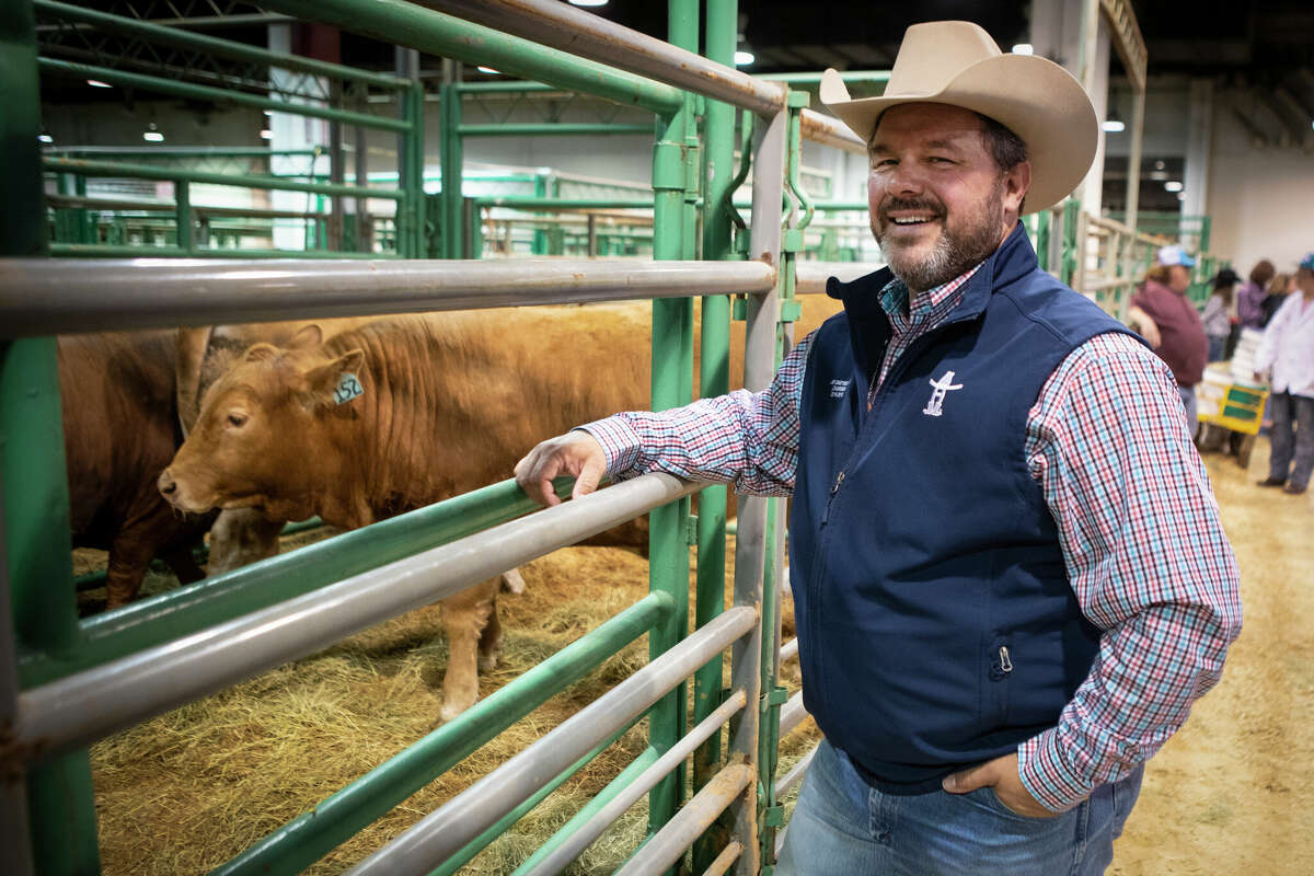 houston livestock judging contest