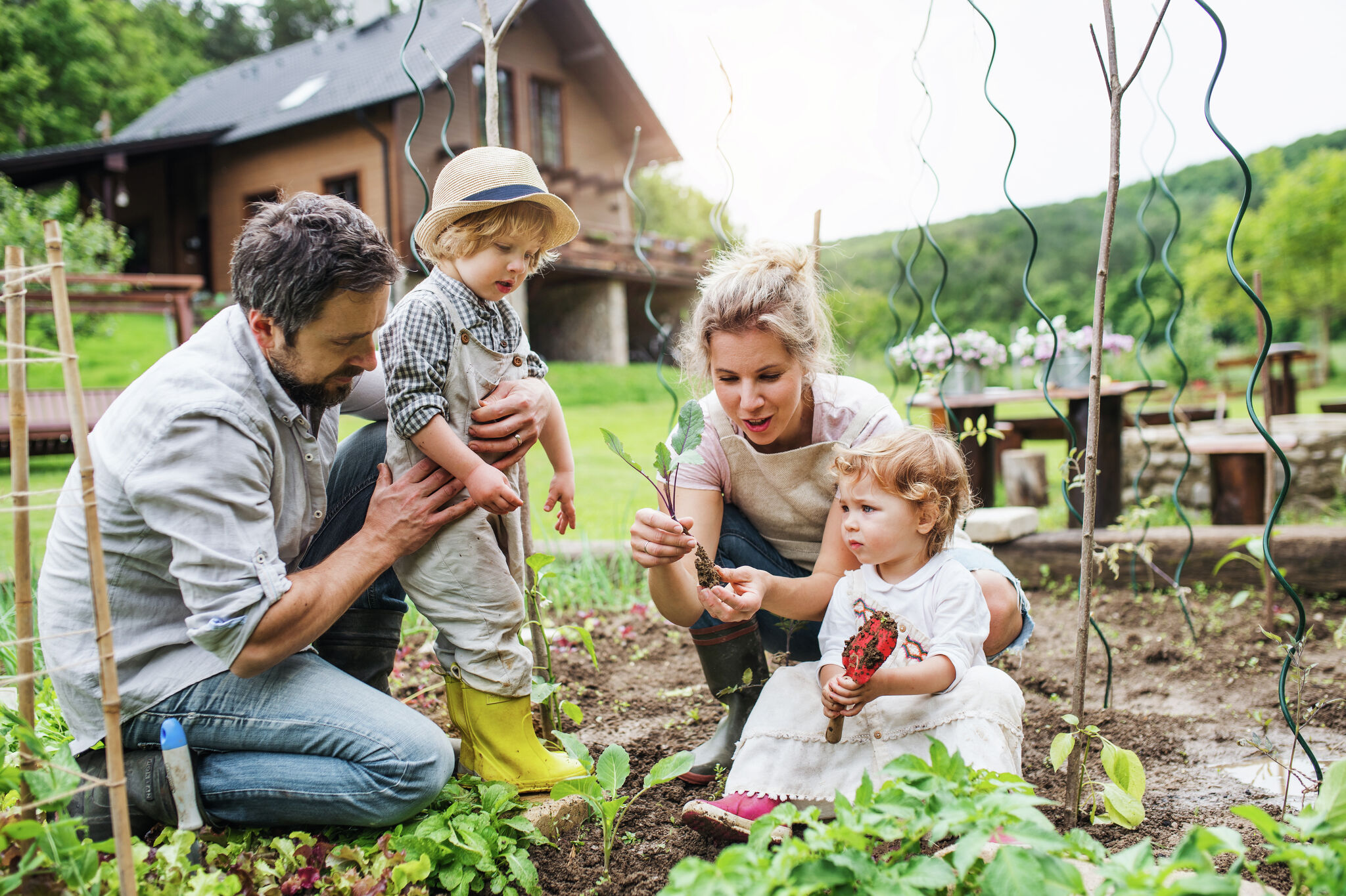 Spring planting guide: When to plant a vegetable garden and crop calendar