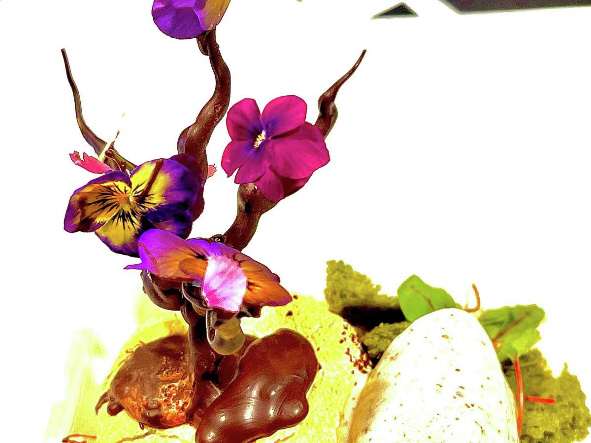 The 2022 Truffle Masters competition featured sweet and savory black truffle dishes created by 27 Houston chefs. Second place went to Money Cat restaurant which created two dishes including a chocolate bonsai tree with truffle ice cream.