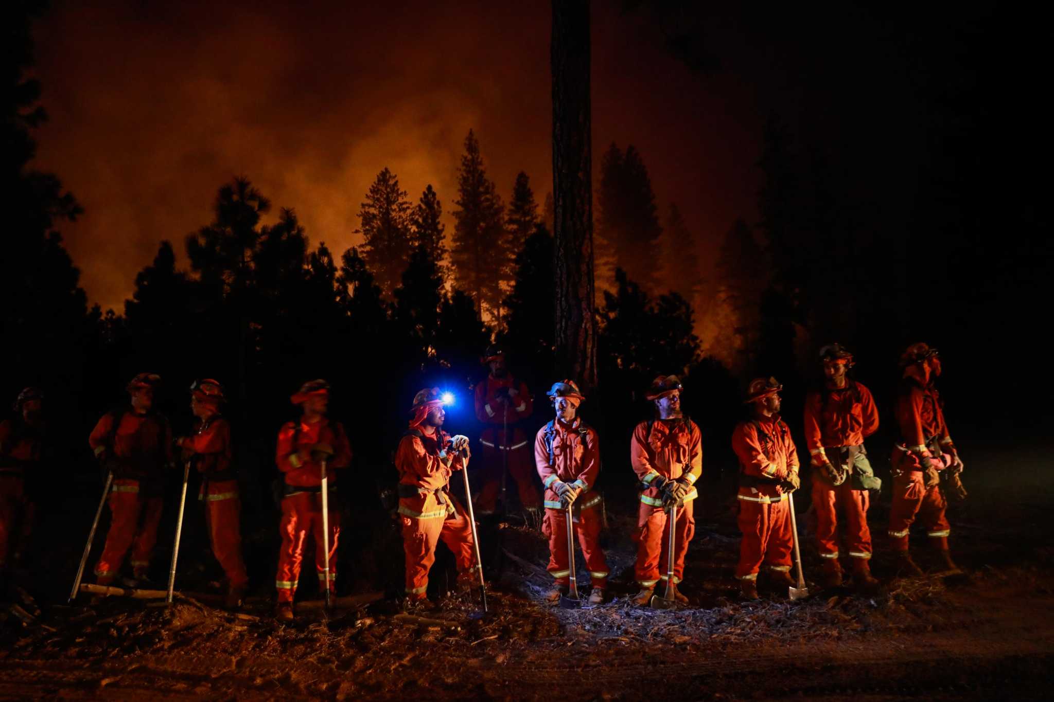 Letters: Putting out all wildfires quickly would actually hurt firefighting efforts. Here's why - Vimarsana News