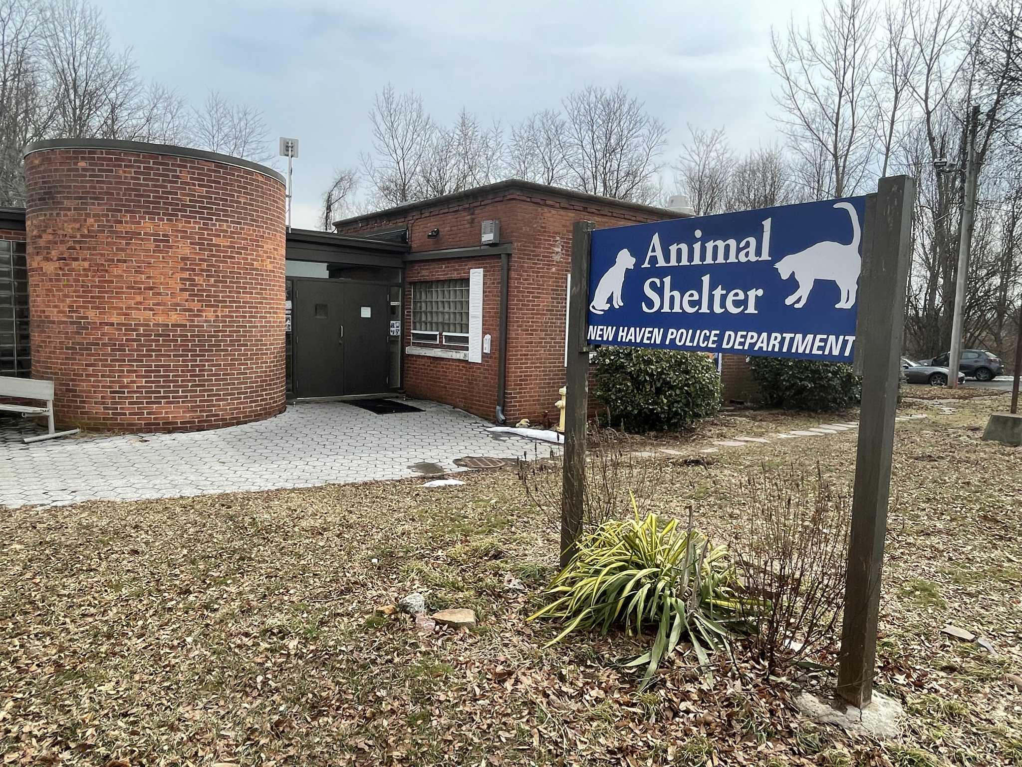 Hamden, New Haven explore sharing an animal shelter