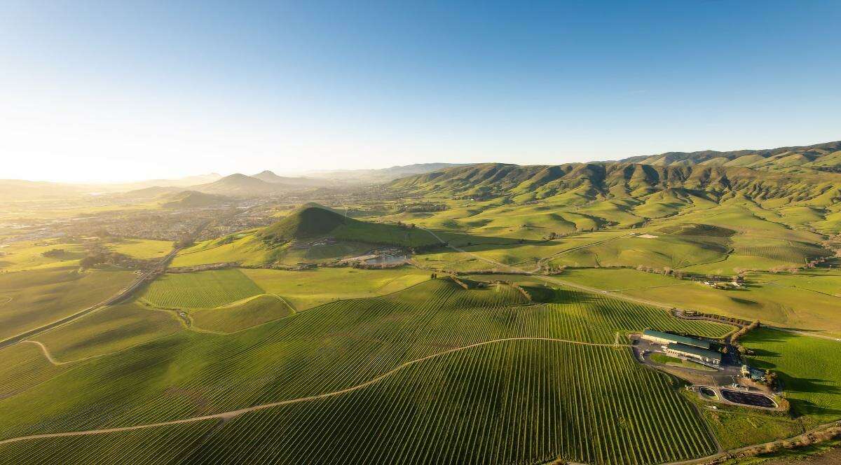 The SLO Coast AVA is the latest California wine-growing region to be approved by the government.