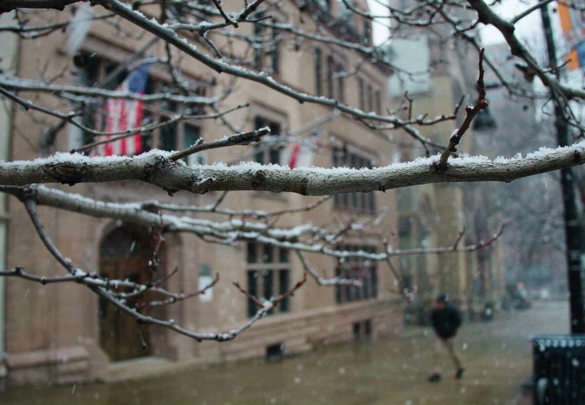 Snow collects on the branches of a tree on Wednesday, March 9, 2022, in Albany, N.Y.