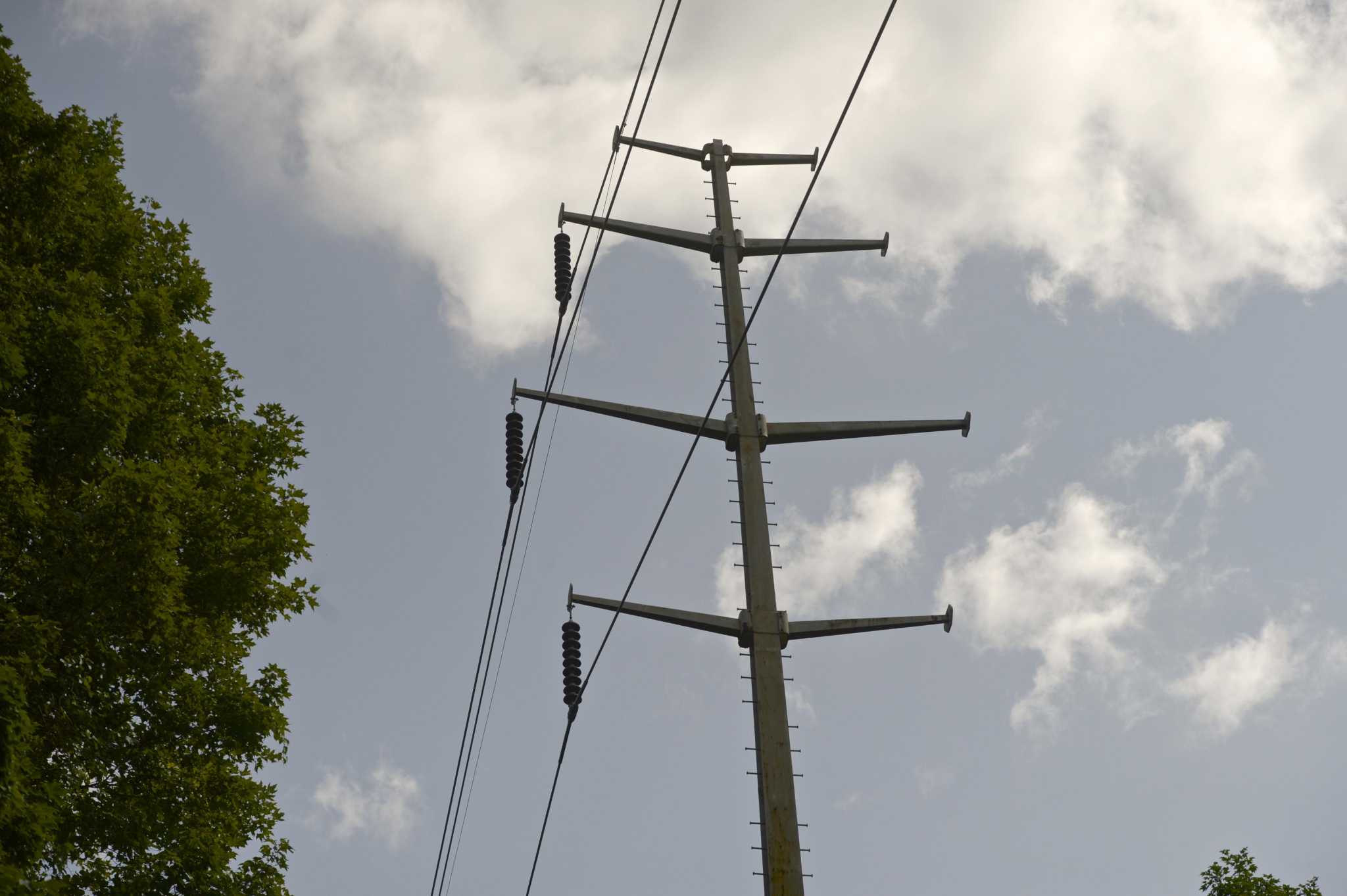 Eversource: Flickering power in Monroe due to tree limb on lines - Vimarsana News
