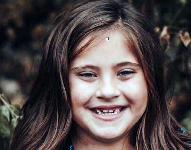 Community rallying behind student in need of kidney transplant - Vimarsana News