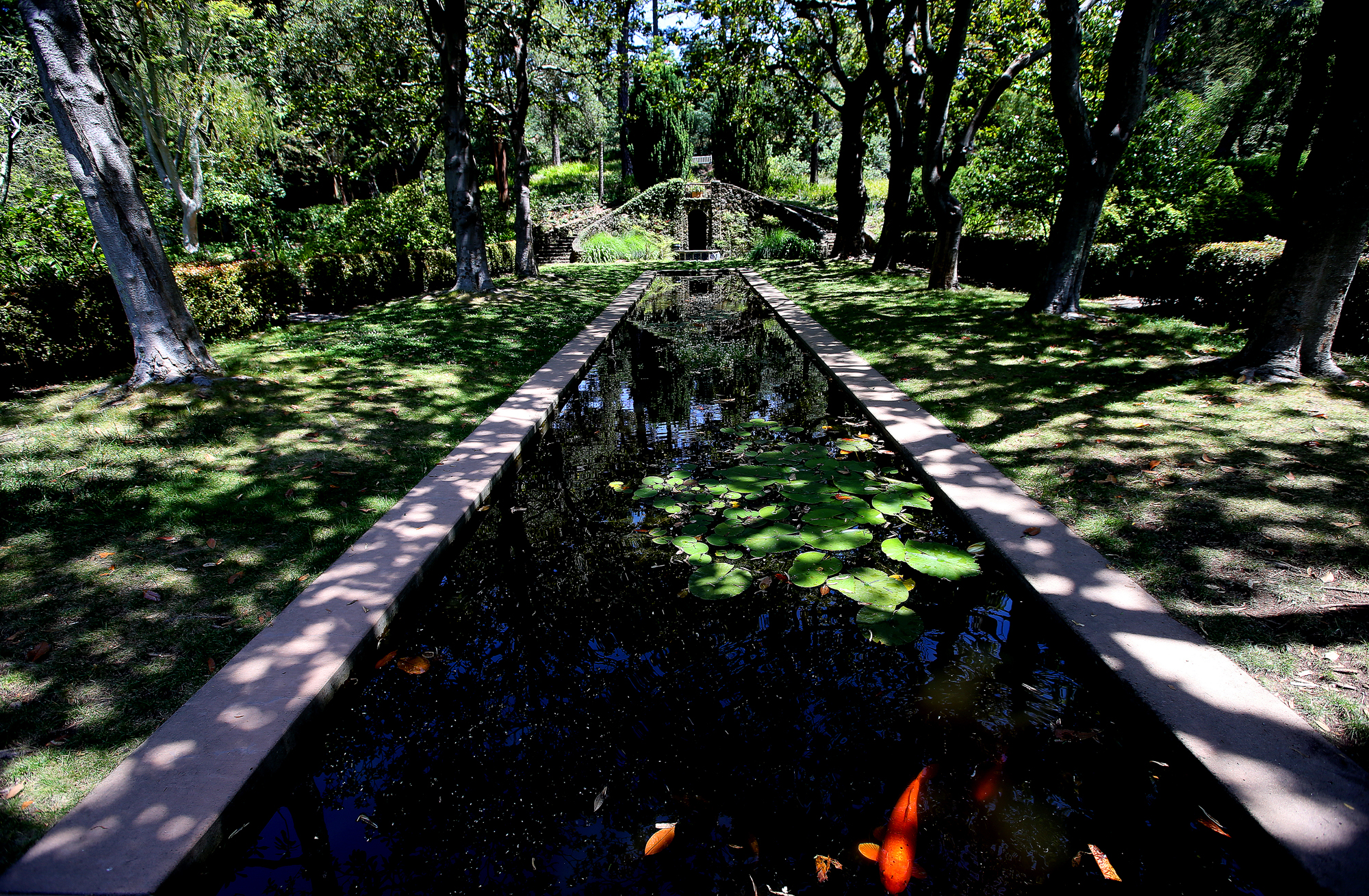 Blake Garden, UC Berkeley