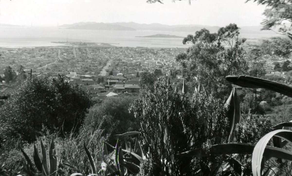 Looking west from the cut flower garden, 1958.