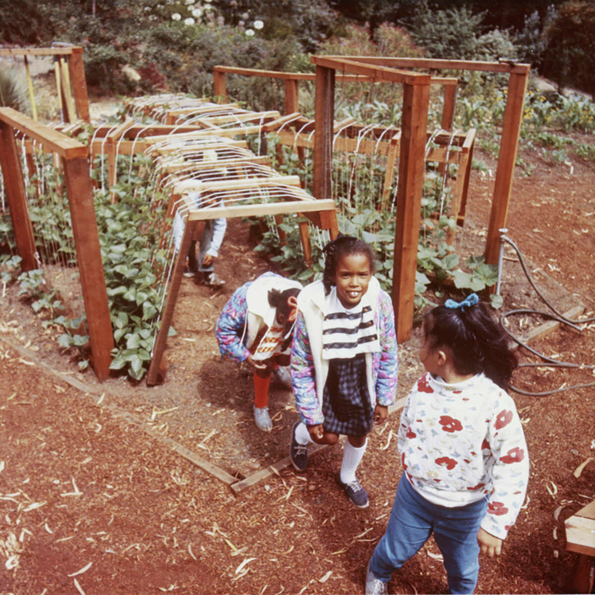 Burrowing through the Children's Adventure Garden, 1971.