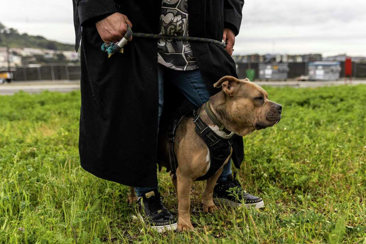 Marissa Magnusen stands her dog Maya at the Bayview Vehicle Triage Center in San Francisco. Magnusen, a former resident of the nearby Hunters Point Expressway encampment and subsequently a temporary city-run RV site on Carroll Avenue, was moved to the Triage Center in January along with her husband and son despite having to give up much of their belongings.