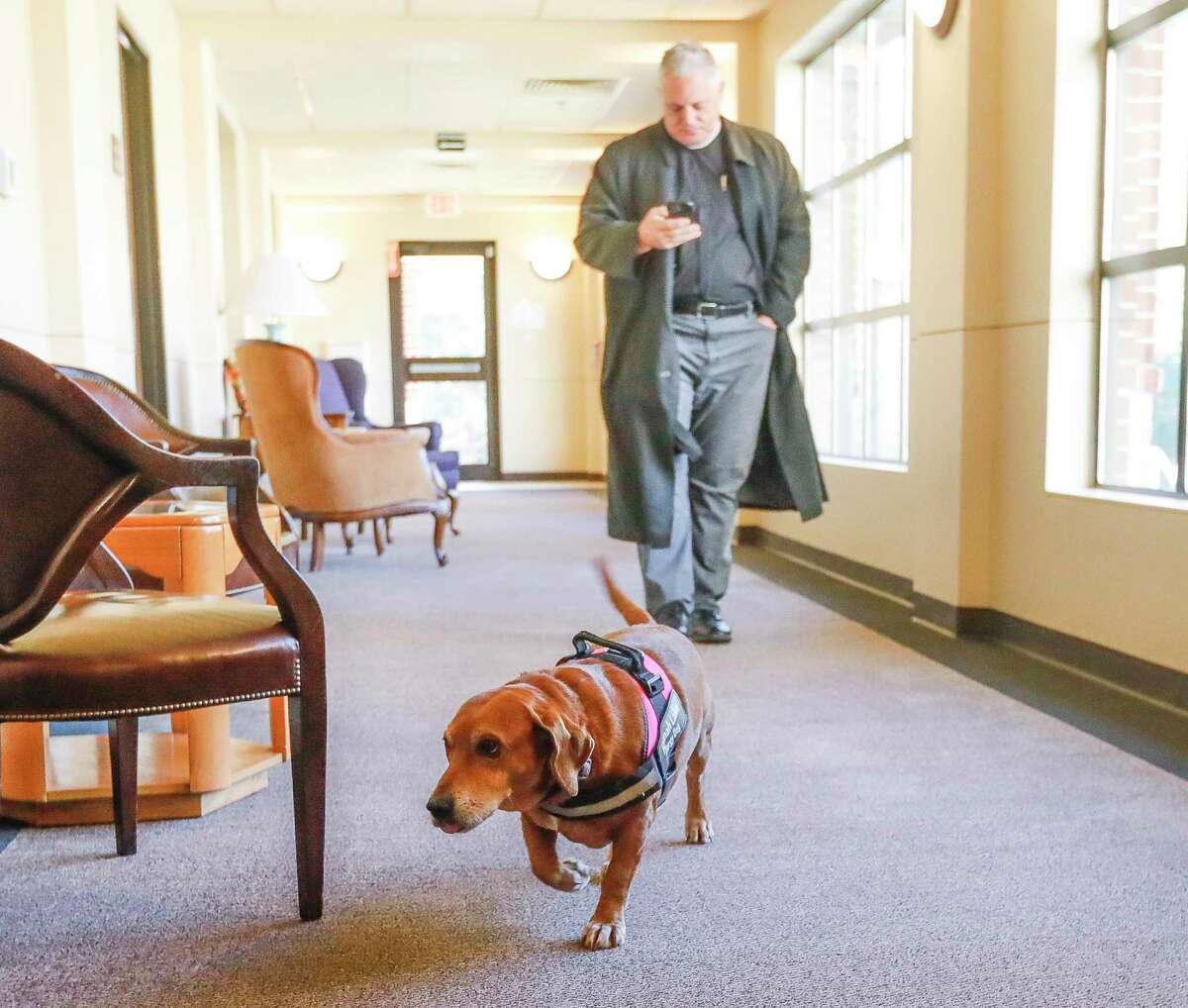Hannah Lake, a mix-bred clergy therapy dog, goes out on a walk with Pastor Chris Lake at Tree of Life Luthran Church, Thursday, March 10, 2022, in Conroe.