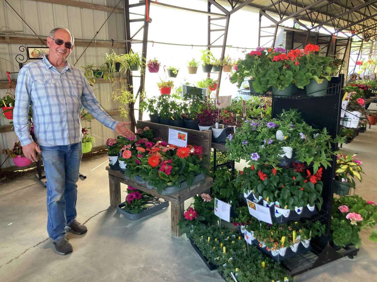Len Vanmarion, president of the Orange County Master Gardners, shows off the most eye-catching plants the market will offer.