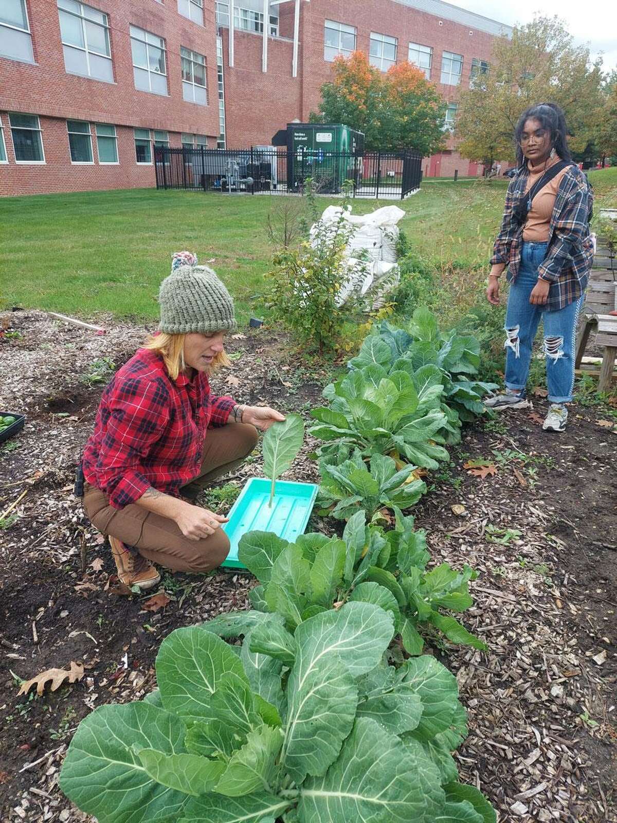 The Western Connecticut State University Permaculture Garden is hosting four free gardening workshops in the coming weeks.