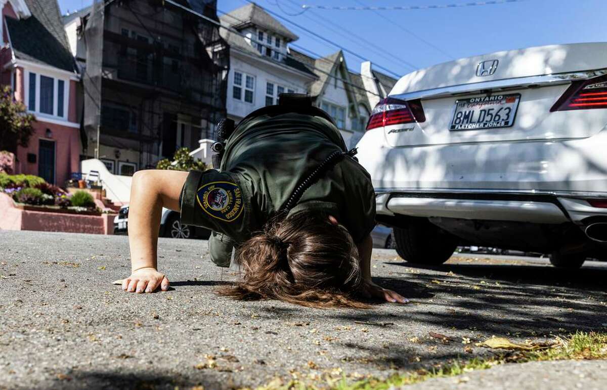 San Francisco Animal Care & Control Officer Stephanie Pone looks under a vehicle as she searches for a raccoon with suspected canine distemper in San Francisco’s Inner Richmond.